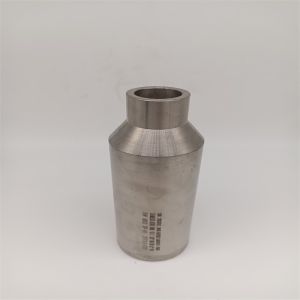 Astm A815 Uns S31803S32202 S32750 Ansi Butt-Welding Concentric Reducer