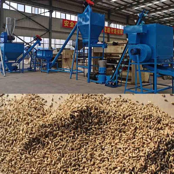 Chicken Pig Cattle Feed Pellet Mill Animal Feed Pellet Production Line 1 Ton Per
