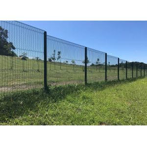 2000mm Anti Climb Fencing Powder Coated Prison Clear View High Security Anti Cut