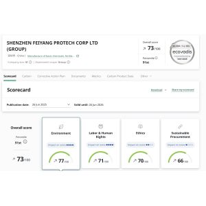 Cheap Feiyang Protech Awarded ECOVADIS Silver Certification for sale