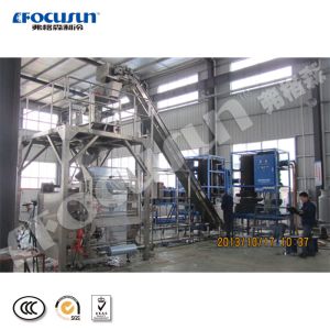 Efficiently Pack 5000kg Tube and Cube Ice with Fully-Automatic Ice Packing