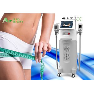 12 screen tough body weight loss cryolipolysis fat freeze slimming machine