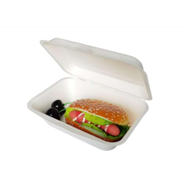Quality Eco Friendly Bagasse Clamshell Containers 271x182x45mm wholesale