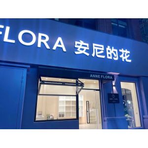 Library-Oriented Folding Window Design Balancing Natural Reading Light with