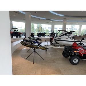 Customized Logo BluePenguin Electric Hydrofoil Surfboard for Unisex Ridership