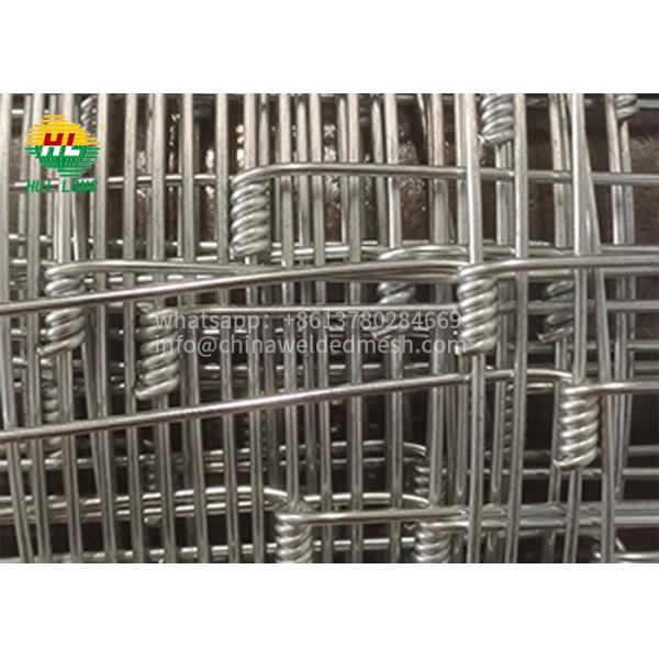 Quality 50m Galvanised Mesh Roll 13 125 15 High Tensile Corrosion resistance wholesale