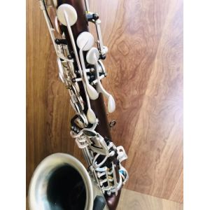 High-end saxophone, E flat, children, beginners, adults, playing musical