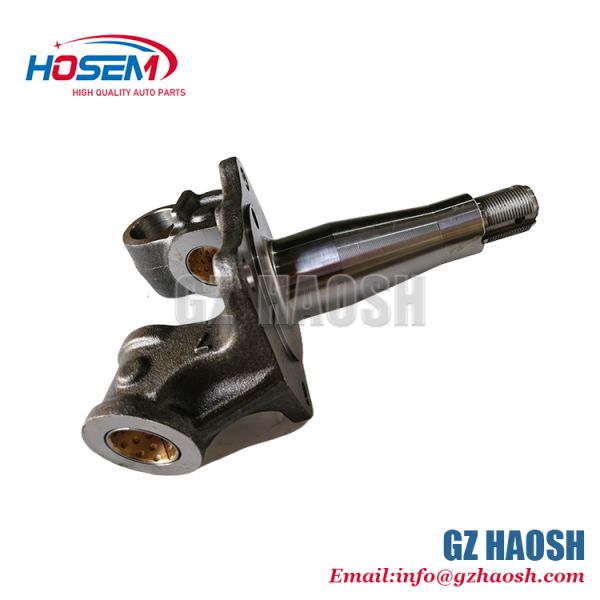 Left-Hand Hydraulic Brake Type Steering Knuckle for Isuzu 700P with 3-Month