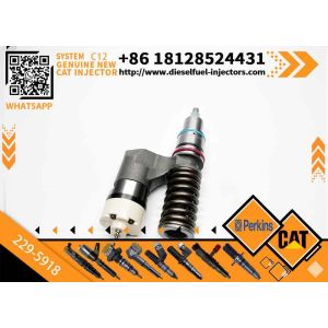 Cheap New Common Rail Fuel Injector 223-5328 229-5918 20R-0055 10R-0725 for C12 Diesel Engine for sale