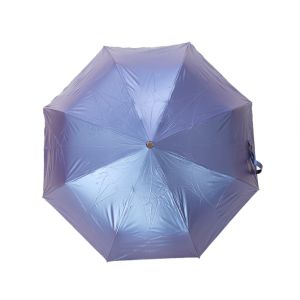 Luxury Owl Handle Auto Open Close Umbrella With Black Rubber Coating Canopy