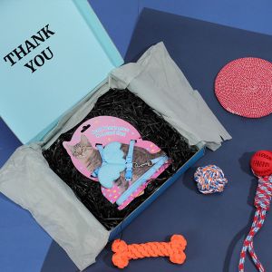 Embossed Custom Corrugated Paper Box for Monthly Shipping of Dog Cat Toy