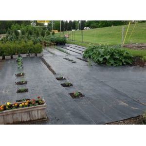 Hobby Gardening Agriculture Non Woven Fabric 320cm Width Anti Mildew