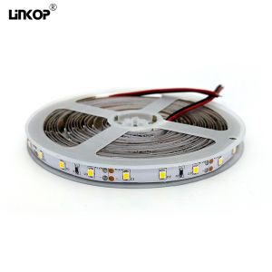 China LED 2835 Outdoor Waterproof Light With 12v 60 Lamp Ip68 Home Lighting Decorative Lamp on sale