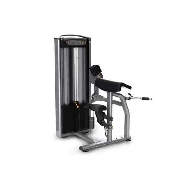 Quality Gym Matrix Strength Training Equipment Biceps Curl Machine wholesale