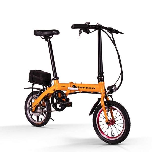 12 Inch Folding Electric Bike Lightest Battery 36v 250w Bicycles RICHBIT Teresa