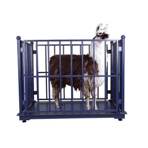 China 1000kg Digital Cattle Weighing Scales on sale