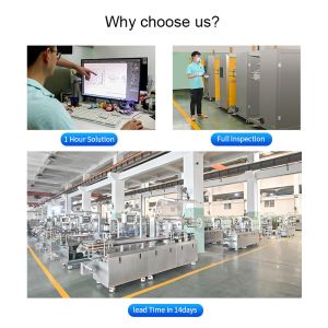 DPP160pro Capsule Tablet Blister Packing Machine Automatic High Speed