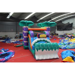 Age Range 5 to 7 years Commercial Pvc Jumping Bouncer Dry Slide Custom Logo