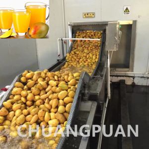 Stainless Steel Mango Juice Beverage Production Line For High Performance Output