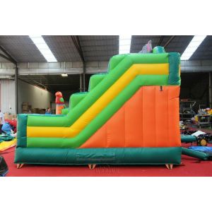 Animal World inflatable combo WSC-338/Green forest theme