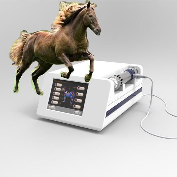 Quality Radial Extracorporeal Equine Shockwave Physiotherapy Machine wholesale