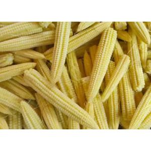 BRC Approved Canned Baby Corn 2840g 2500g 425g 370ml