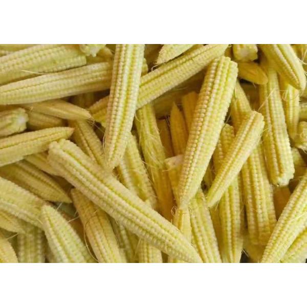 Quality BRC Approved Canned Baby Corn 2840g 2500g 425g 370ml wholesale