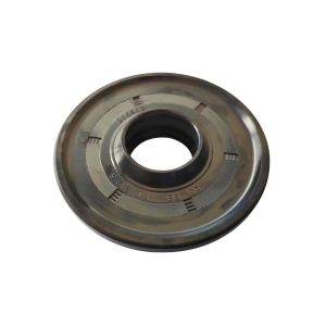 China Oil Seal With Rubber Exterior In NBR With One Seal-Lip One Dust Lip And Spring on sale
