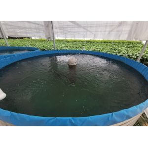 Shrimp Recirculating Aquaculture System Easy Installation Ras System Fish