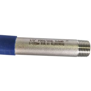 1/2" Welding DIN2999 Dnl200 Threaded Pipe Nipples