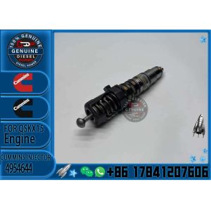 4928262 4076912 4088301 4954644 Common Rail Fuel Injector for Cummins X15 Engine