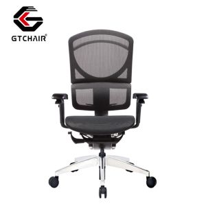 Ergonomic Project Office Chair Adjustable Lumbar Support Swivel Mesh