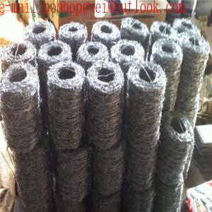 Cheap Single Strand Barbed Wire Wholesale/2 Strand 4 Point 14# X 14# cheap Galvanized Barbed Wire for protection for sale