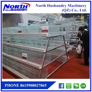 Sistem Pembuatan Kandang,Peternakan Ayam Broiler