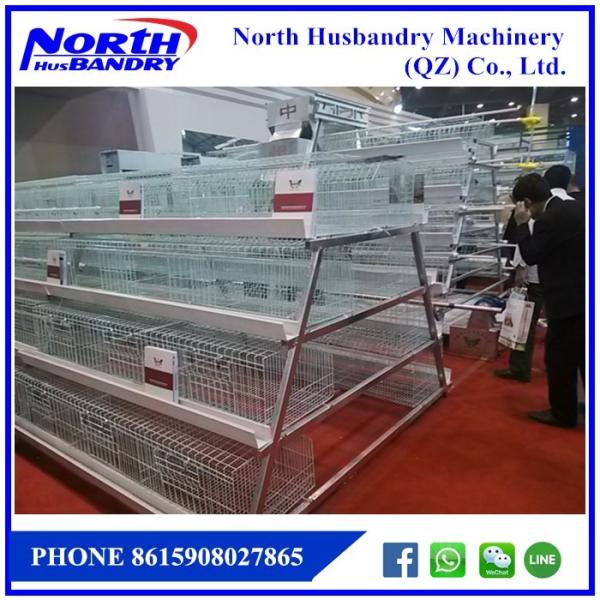 Quality Sistem Pembuatan Kandang,Peternakan Ayam Broiler wholesale