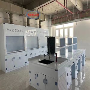 Low-Noise Chemical Fume Hood Lab Fuming Hood with PP Design Safe Laboratory