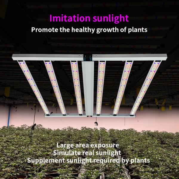 Quality 650W Full Spectrum Foldable LED Grow Light with 1950 μmol/s PPF and 3.0 μmol/J PPE for Veg Bloom wholesale