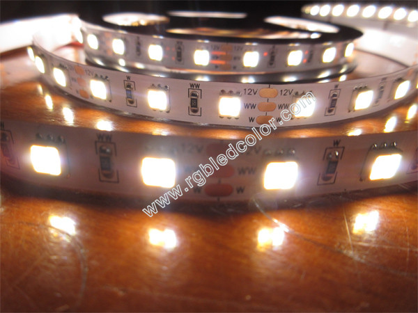 Quality 5050WWW high brightness dimmable led strip wholesale