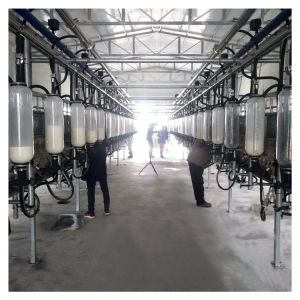 Automatic Vacuum 2100L Herringbone Milking Parlor with Sunction Function