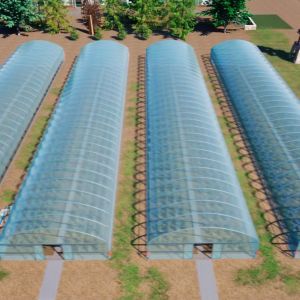Polytunnel Plastic Tunnel Single Span Agricultural Greenhouse for Customized