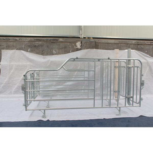 Quality Standard Homemade Farrowing Crates , Farrowing Cage Alkali / Acid Resistance wholesale