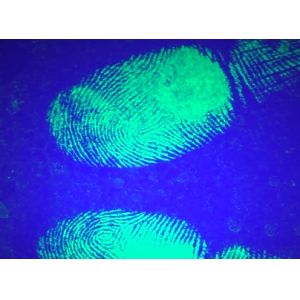 C057 Green fluorescent small particle reagent