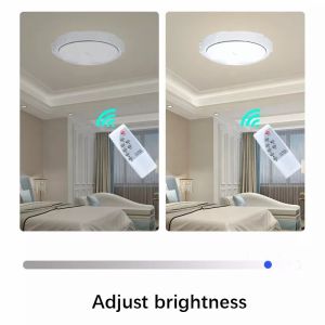 Remote Control 6000K Customized Color Solar Ceiling Light With Large Capacity