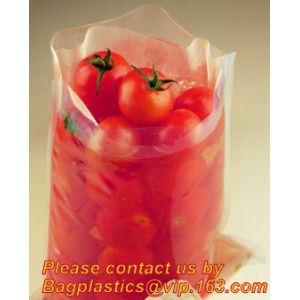 STERILE BAG, STOMACHER OPEN TOP BAG, FILTERED BAGS, FILTER BAG, FILTRA BAG,