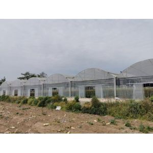 Agriculture Plants Growing Multispan Greenhouse Cooling System With Top / Sides