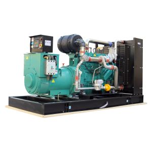 CHP Biogas Lpg 125kVA Cummins 100kW Natural Gas Generator with Electrical Start