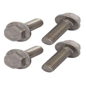 Stainless Steel Plain SS304 SS316 Hexagon Flange Heavy Metal Bolt With Nut Plain