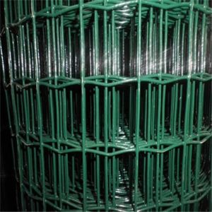 5-50m Lenghth BWG12 PVC Welded Wire Mesh Rolls For Rabbit Cages Chicken Coop