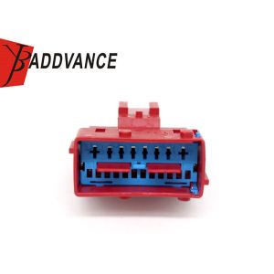 China Aptiv 20 Pin Male Electrical Automotive Wiring Harness Cable Connector 211PL209S2055 on sale