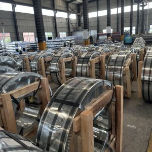 ASTM/AISI/SGCC/CGCC/TDC51DZM/TDC52DTS350GD/TS550GD/DX51D Z Q195-q345 Galvanized